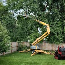 Best Tree Preservation Services  in Chilhowie, VA